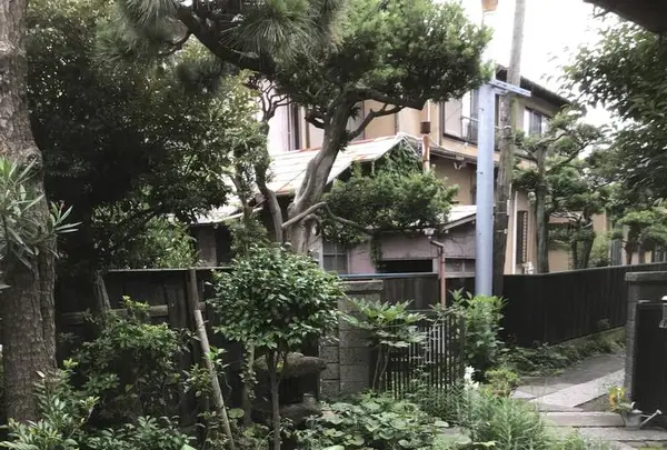 シェ・サマンサの写真・動画_image_291262