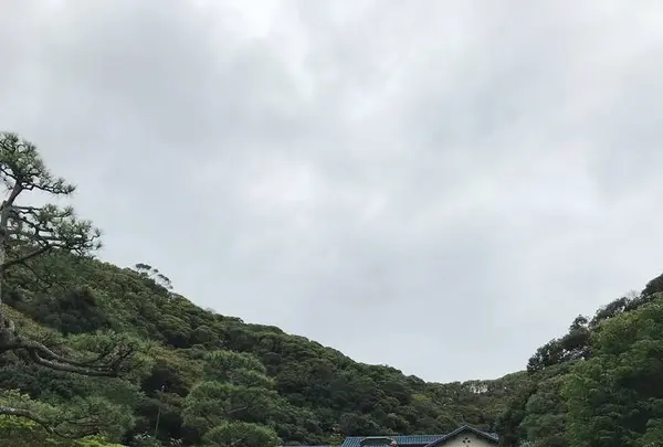鎌倉文学館の写真・動画_image_291266