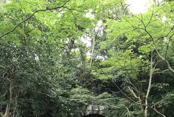 鎌倉文学館の写真・動画_image_291268