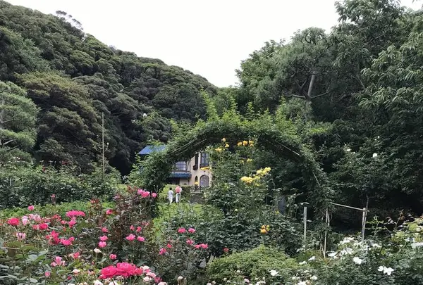 鎌倉文学館の写真・動画_image_291269