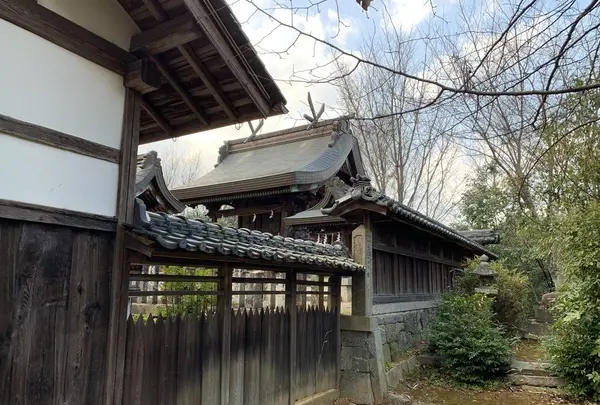 稚櫻神社の写真・動画_image_291453