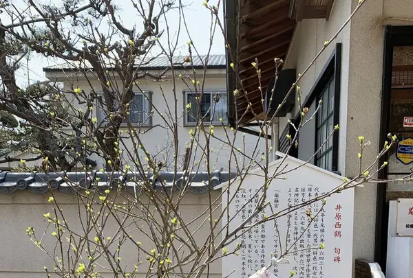 柴籬神社の写真・動画_image_291461