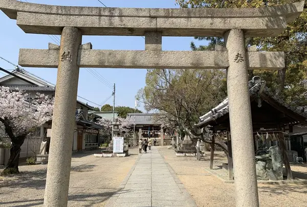 柴籬神社の写真・動画_image_291462
