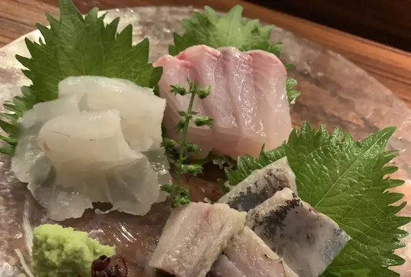 個室ダイニング するり新宿本店の写真・動画_image_291688