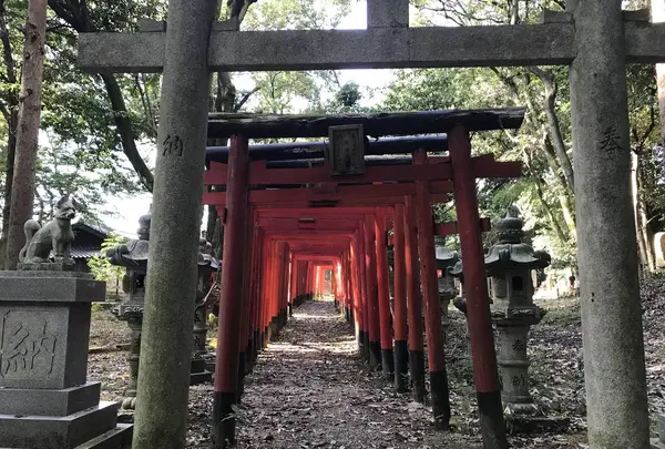 姫丸稲荷大明神の写真・動画_image_292570