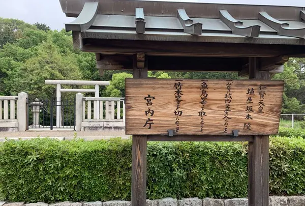 仁賢天皇 埴生坂本陵の写真・動画_image_292574