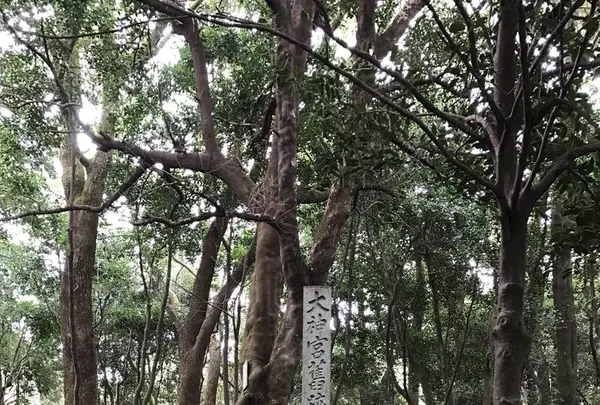 国指定史跡 岩戸山古墳の写真・動画_image_292579