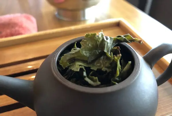 緑苑の写真・動画_image_292627