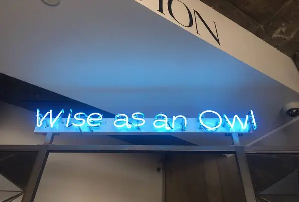 WISE OWL HOSTELS TOKYOの写真・動画_image_293146