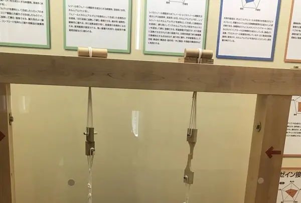 木材・合板博物館の写真・動画_image_293152