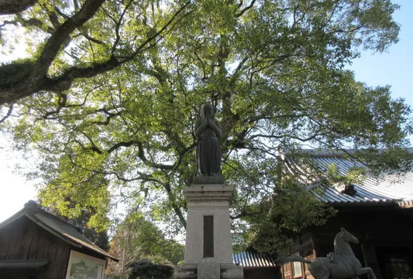 斑鳩寺の写真・動画_image_293436
