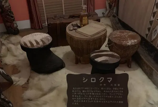 ベンの家の写真・動画_image_293857