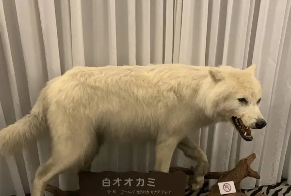 ベンの家の写真・動画_image_293860