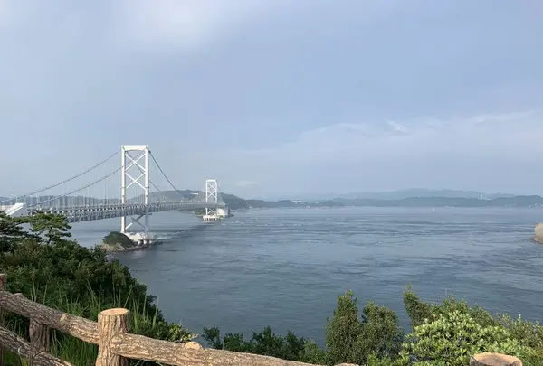 お茶園展望台の写真・動画_image_293943