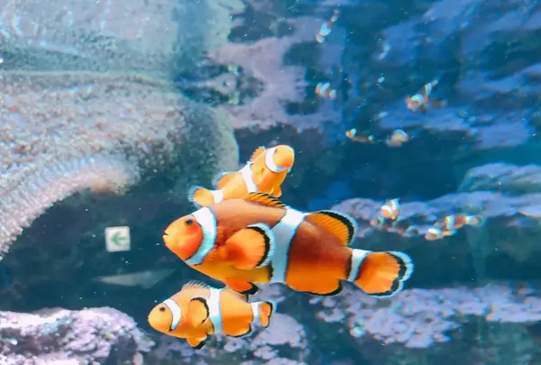 サンシャイン水族館の写真・動画_image_294067