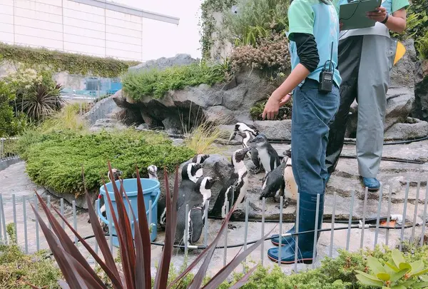 サンシャイン水族館の写真・動画_image_294072