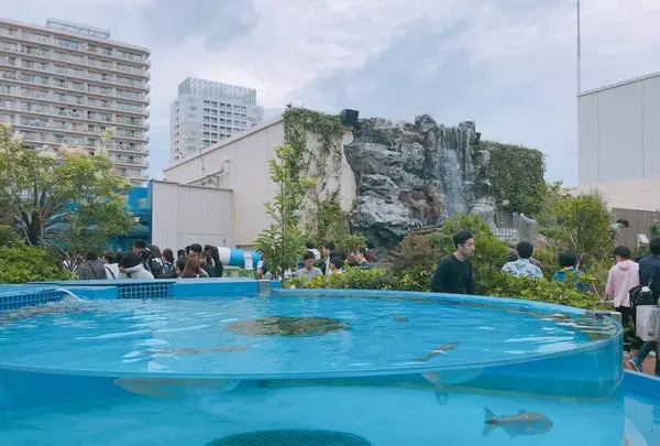 サンシャイン水族館の写真・動画_image_294073