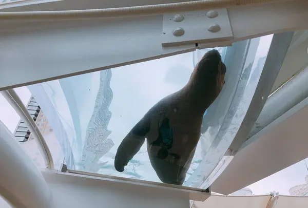 サンシャイン水族館の写真・動画_image_294077