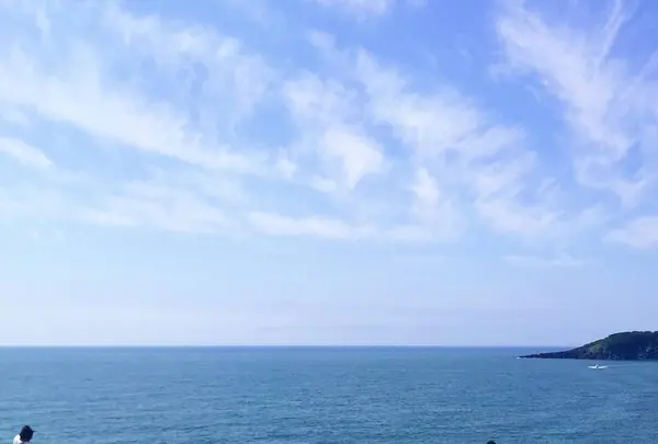 東尋坊の写真・動画_image_294189