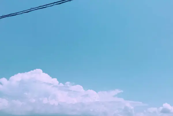 かもめ通りの写真・動画_image_294197