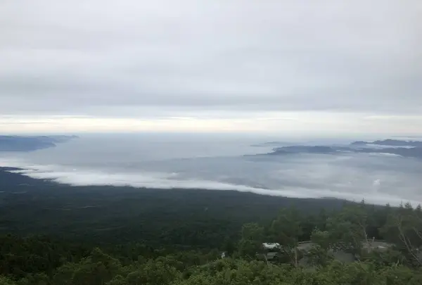 富士山の写真・動画_image_294268