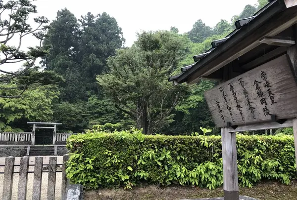 崇峻天皇陵(倉梯岡陵)の写真・動画_image_294400