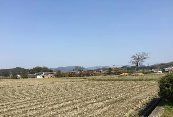 古宮遺跡(伝推古天皇小墾田宮跡)の写真・動画_image_294411