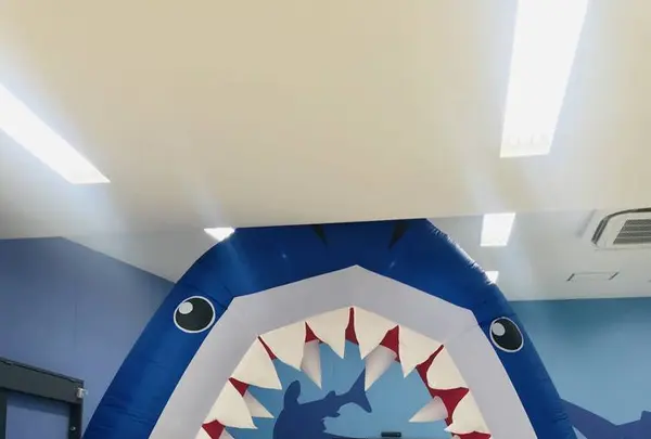 気仙沼シャークミュージアムの写真・動画_image_294532