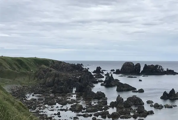 入道埼灯台の写真・動画_image_294626