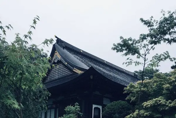 雲昌寺の写真・動画_image_294649