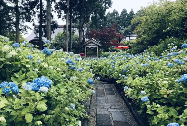雲昌寺の写真・動画_image_294652