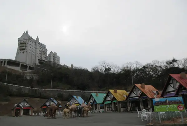 太陽公園　の写真・動画_image_294960