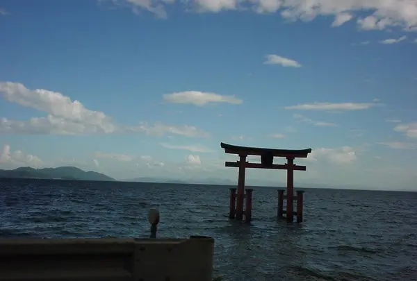 白鬚神社の写真・動画_image_295202