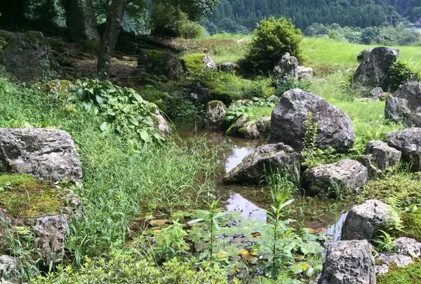 興聖寺の写真・動画_image_295214