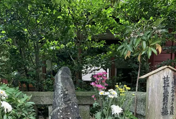 義仲寺の写真・動画_image_295233