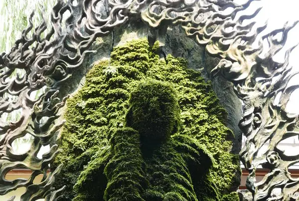 浄土宗 天龍山 法善寺の写真・動画_image_295322