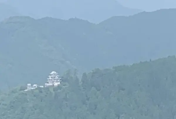 郡上八幡城の写真・動画_image_295392