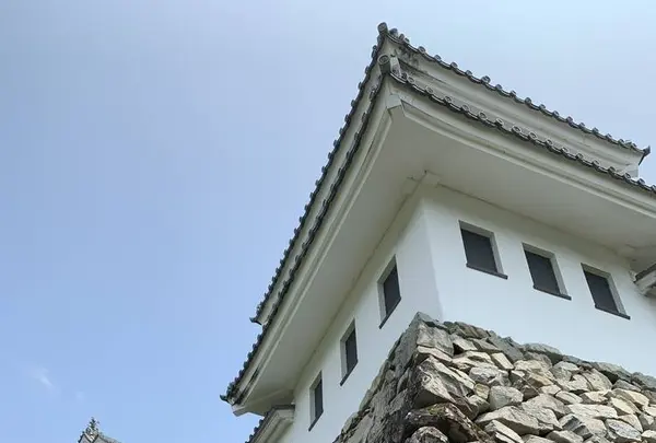 郡上八幡城の写真・動画_image_295393