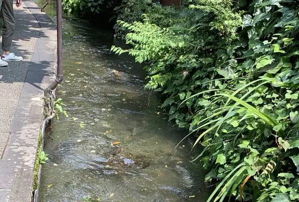 いがわこみちの写真・動画_image_295401