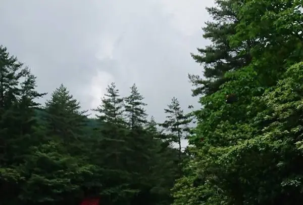 西の河原露天風呂の写真・動画_image_296310