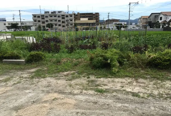 筑前国分尼寺跡案内板の写真・動画_image_296577