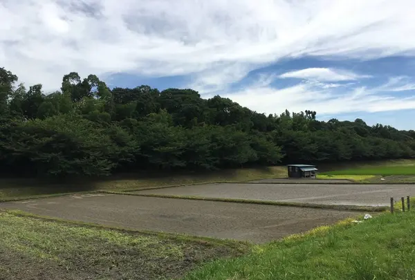 水城跡の写真・動画_image_296601