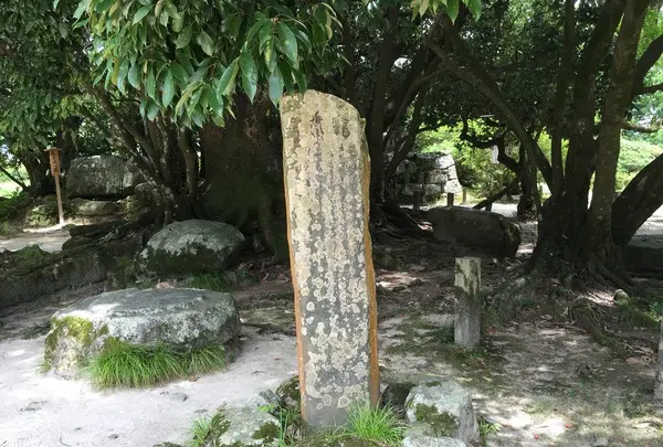 観世音寺の写真・動画_image_296623