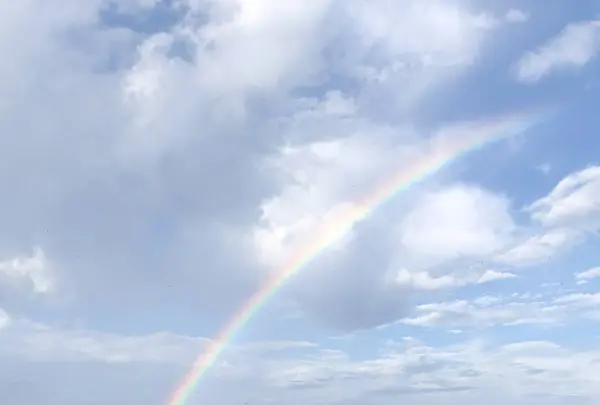 府中市市民保養所やちほの写真・動画_image_296726