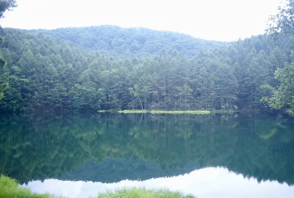 御射鹿池の写真・動画_image_296746