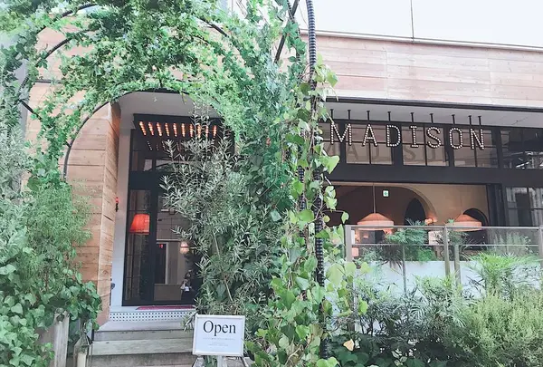 マディソン ニューヨーク キッチン （MADISON NEW YORK KITCHEN）の写真・動画_image_296899