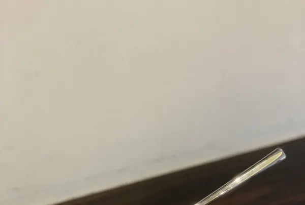 アヴランシュ ゲネーの写真・動画_image_297434