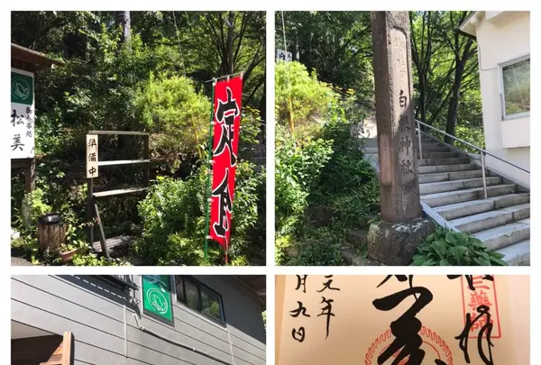 白根神社の写真・動画_image_297627