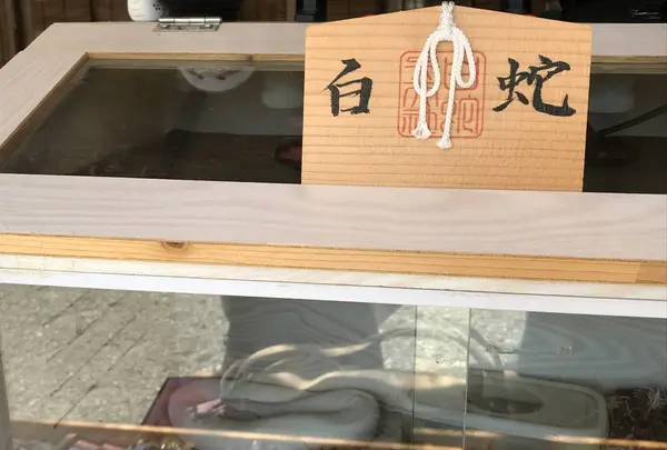 八坂神社(太田市世良田町)の写真・動画_image_297636