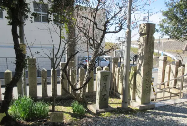 国府山城址の写真・動画_image_297826